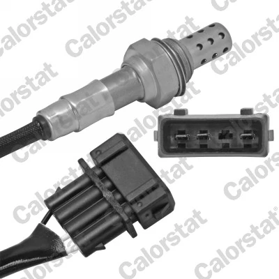 Oxygen Sensor